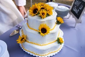 Dallas and Taylor Wedding Reception